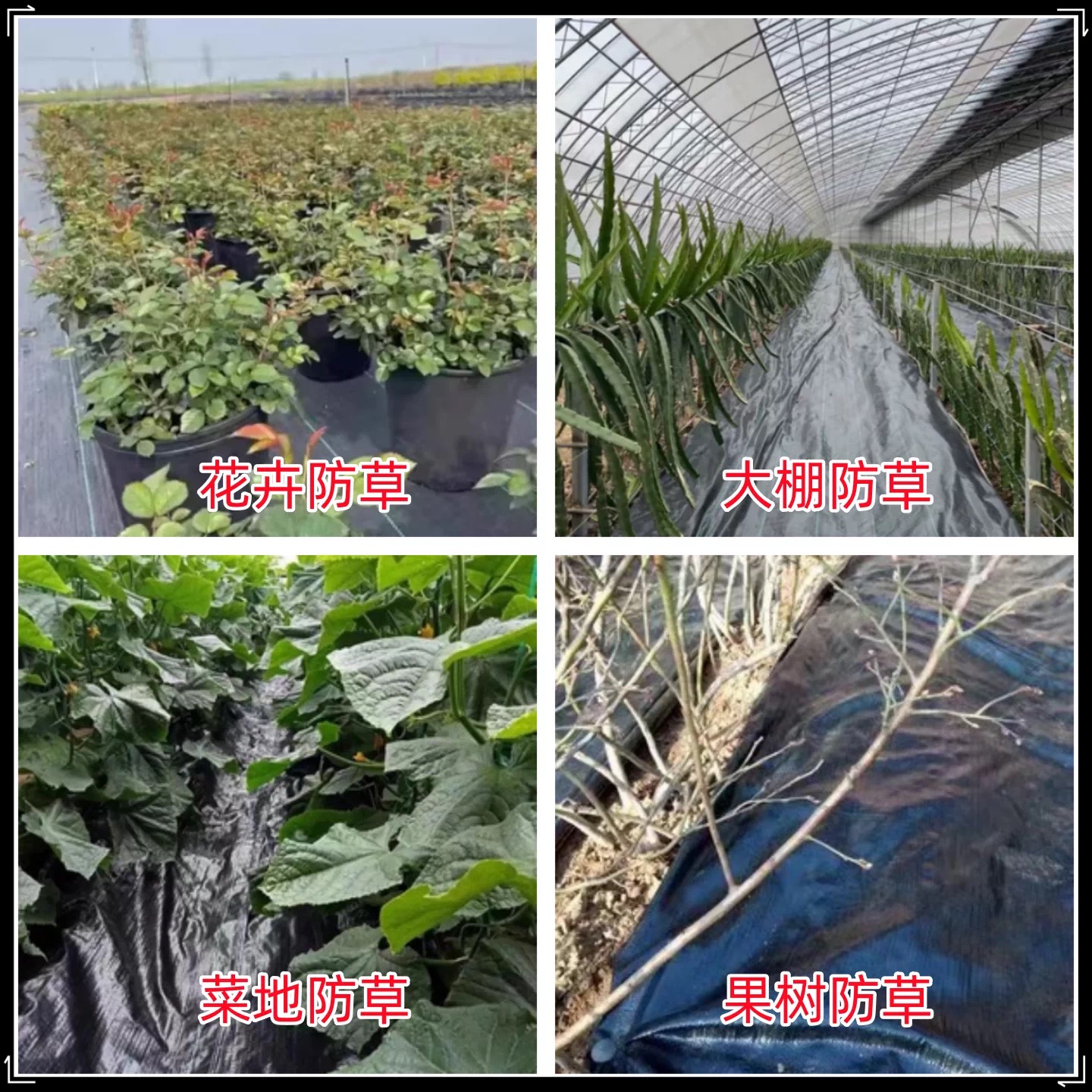 益广塑业有限公司（石家庄市办事处）